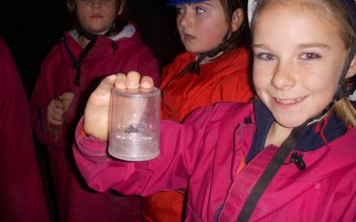 Test Post with a longer title to see over two lines